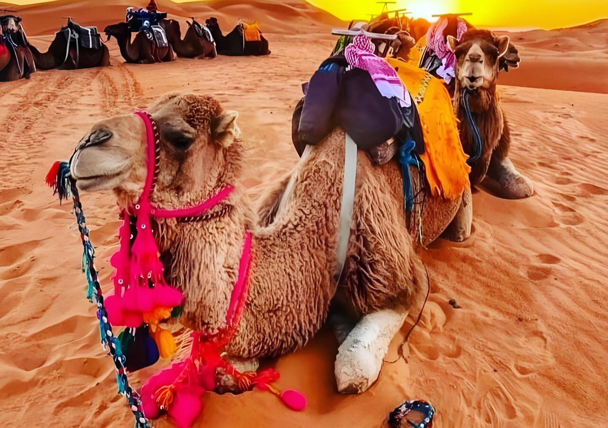 Top Desert Luxury Camp Merzouga Buitenkant foto